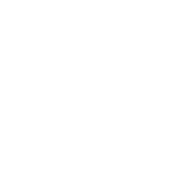 S-PLYRS